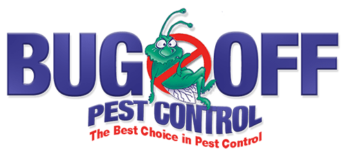 Pest Control in McAllen TX | Bug Off Pest Control | Pest Control Experts