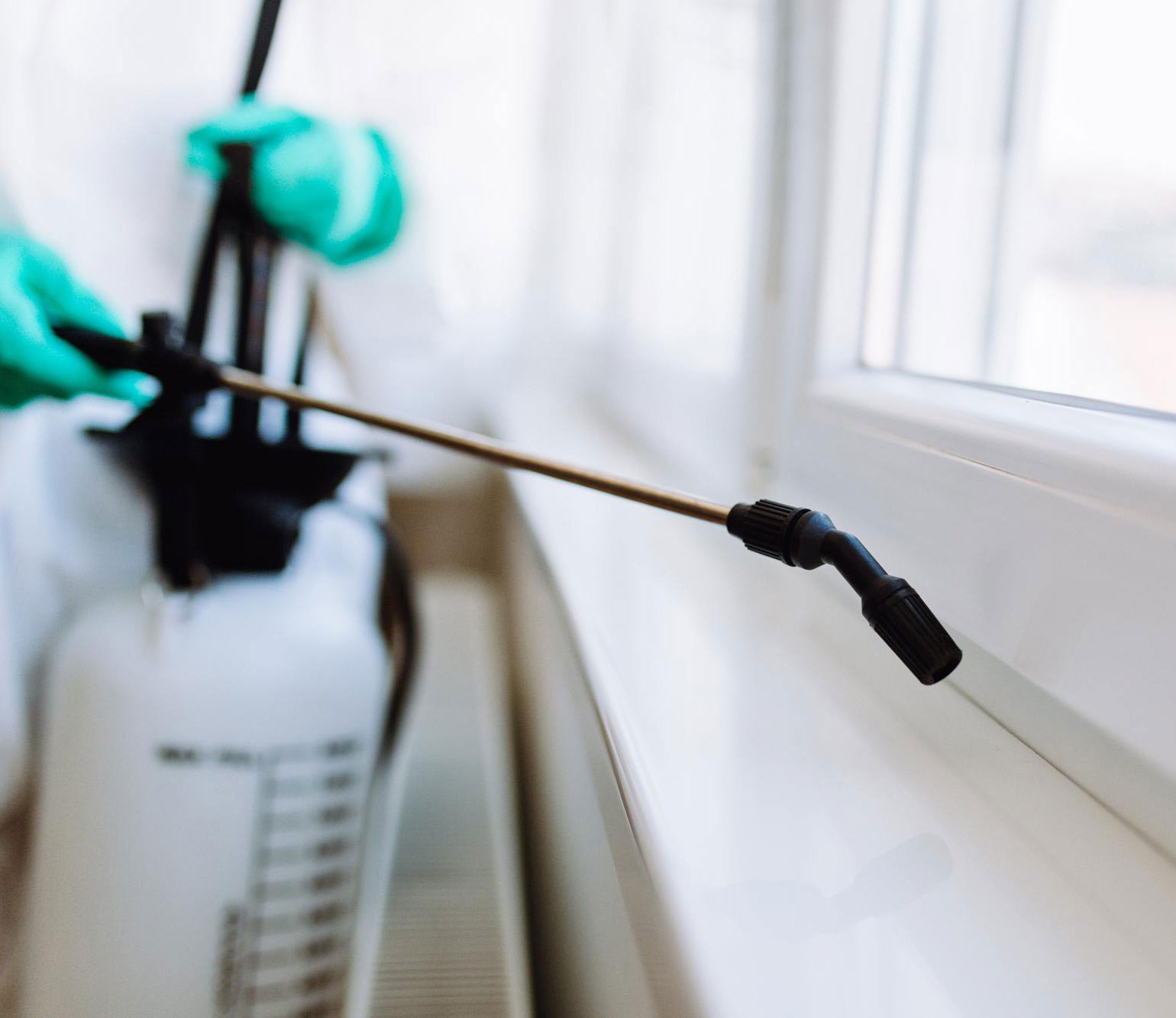 Top Reasons to Opt for Regular Pest Control Services Bug Off Pest Control