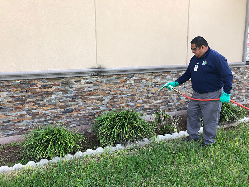 5 Tips for Selecting the Best Pest Control in McAllen