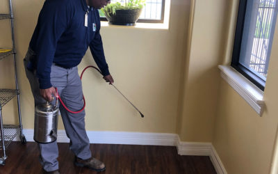 Tips to Keep the Pests from Invading your Home This Winter