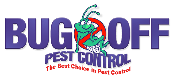 Your Ultimate Guide to Pest Control in McAllen: Protecting Your Space ...