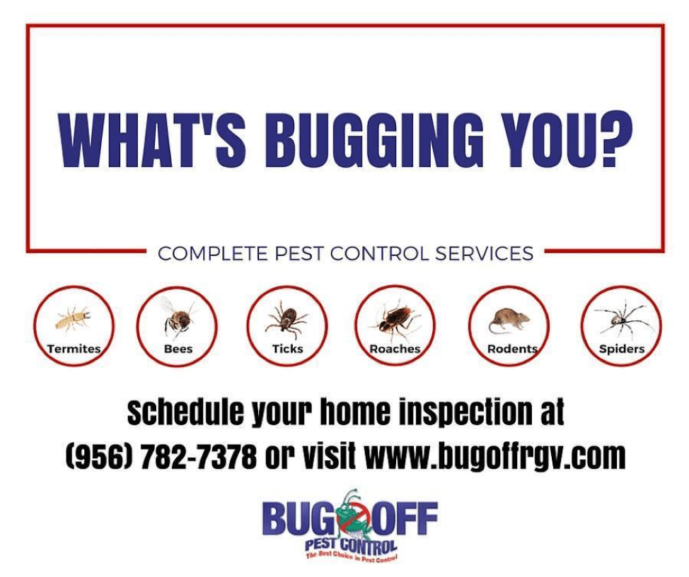 Top Reasons to Hire a Pest Control Service Provider Bug Off Pest Control