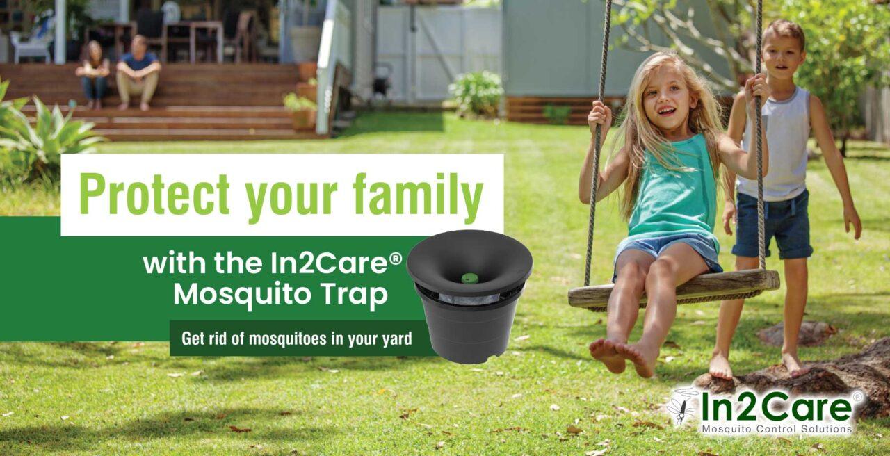 Pest Control in McAllen TX Bug Off Pest Control Pest Control Experts