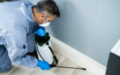 11 Steps to Prepare for Visit with the Top Exterminator, McAllen TX 