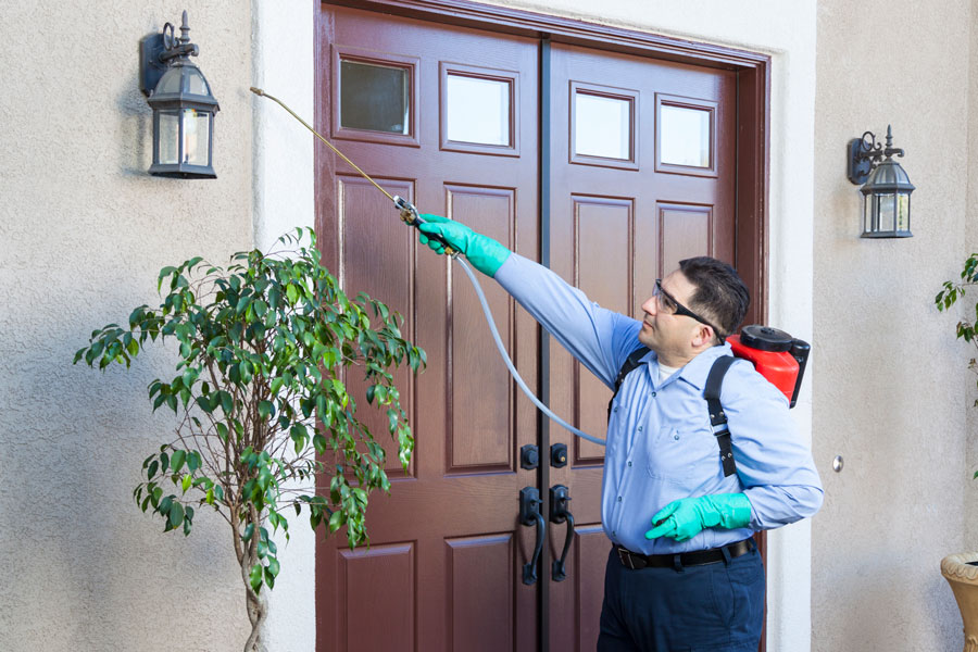 Protect Your Home with Expert Pest Control McAllen