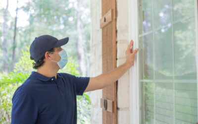8 Hot Summer Tips from the Experts of Pest Control in McAllen