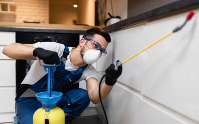 What to Expect During a Professional Pest Control Visit in McAllen, TX