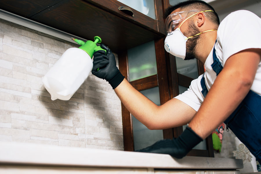 pest control mcallen tx