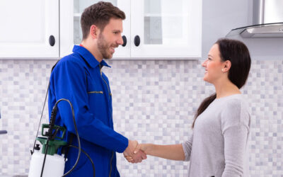 Why Pest Control in Brownsville, Texas Is a Must for Homeowners Near Water and Fields