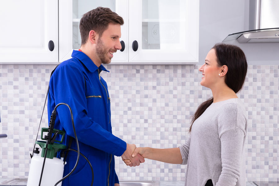 pest control brownsville texas 