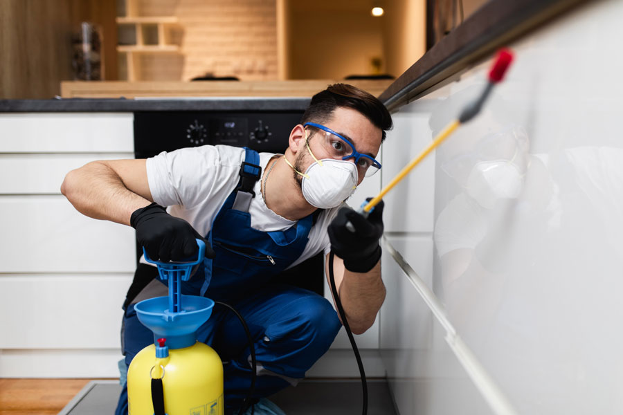 pest control McAllen