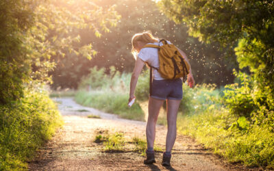 How an Experienced Exterminator in McAllen, TX Can Protect Your Home Year-Round