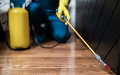 The Complete Guide to Professional Pest Control in McAllen