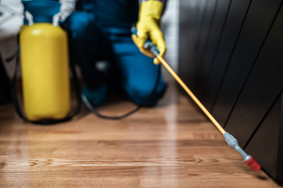 pest control in McAllen