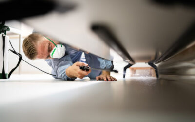 Exterminator vs. Pest Control in McAllen, TX: What’s the Difference?
