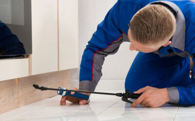 Moving to Brownsville? Here’s What New Residents Should Know About Local Pests