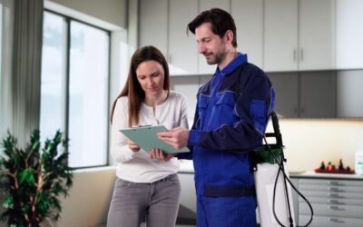 Why Year-Round Protection Is Essential